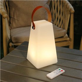 Bear Cuiseur à riz 3,5 tasses (non cuit) avec cuiseur vapeur, Multifonctionnel 350W Electric Mini Rice Cooker,6 fonctions de cui