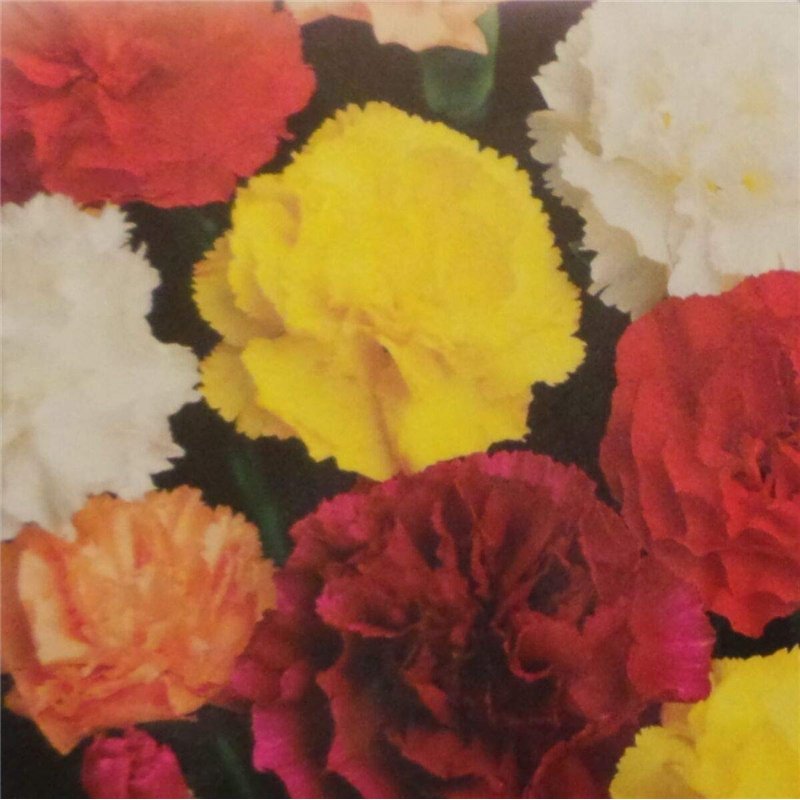 Kit de Acrochordons, Anti Acrochordons avec 60 Bandes d'étiquettes Cutanées Micro et Régulières (1 mm à 9 mm), pour le visage et