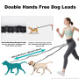 Jogging Mains Libres pour Chiens avec Ceinture et Sac Banane détachable