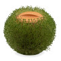 Kikkerland Green Orb Pot de Fleurs en Terre Cuite Marron Taille Unique
