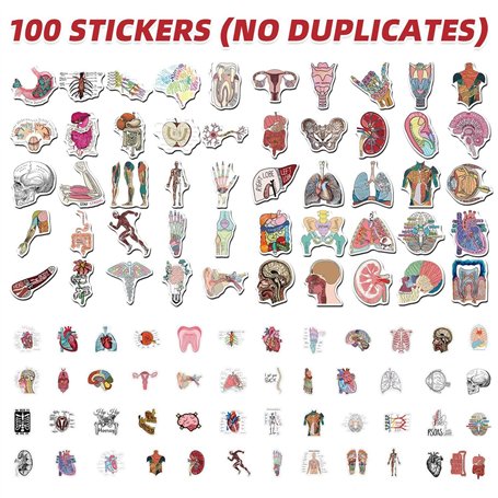 Friteuse sans huile portable NINJA - CRISPI - Récipients 1,4L et 3,8L - 4 programmes prédéfinis - 1400W - Beige