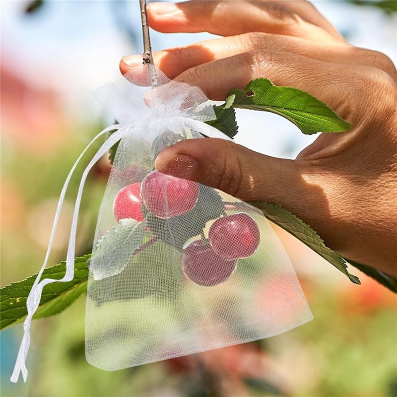 Biber : Les Sonates Mystère
