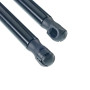 Frankberg 2x Ressorts à Gaz Hayon Compatibles avec Grand Scénic II JM0 1 Tous Moteurs MPV 2004-2020 Scénic II JM0 1 Tous Moteurs