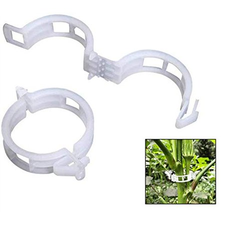 auvstar Plante Clips