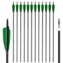 NorthSpoor 12 Pièces Flèches de Tir à l'arc