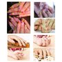 Accessoires pour nail art 12 couleurs tridimensionnelles fleurs séchées 60 étoiles plus 60 cinq fleurs