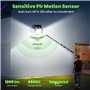 FOMYHEARD Lampe Solaire Exterieur Detecteur de Mouvement, 229 LEDs Lumiere Solaire Exterieur avec Télécommande, Tête Pivotante E