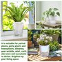 VGECEE Lot de 4 Pots de Fleurs en Plastique, Pots avec Système d'Arrosage Automatique, Pot de Fleurs Transparent avec Niveau d'e