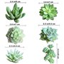 Dzxin Succulentes Artificielles, 11 Pièces Mini Plante Artificielle Plante Artificielle Exterieur pour Maison Décoration