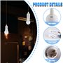 Sporgo Kit d'éclairage E27 : 6 douilles et 6 ampoules LED 5W 6500K blanc froid - Douille E27 avec câble et testeur de tension -