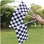 Drapeaux De Vagues De Pilotes De Course