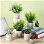 Mini Plantes Artificielles