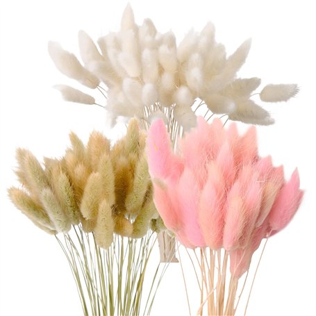 PORFOYO Getrocknete Blumen