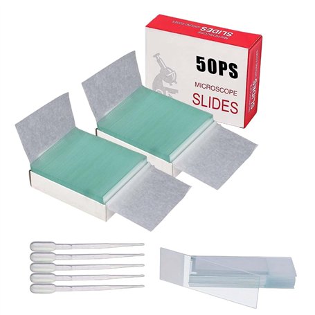 Lot de 100 lames de microscope en verre - 25