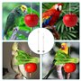 2 Pièces Brochette Nourriture Perroquet en Acier,Inoxydable Porte-Fruits Viande Alimentaire,Bâton Titulaire,pour Cages Oiseau,An