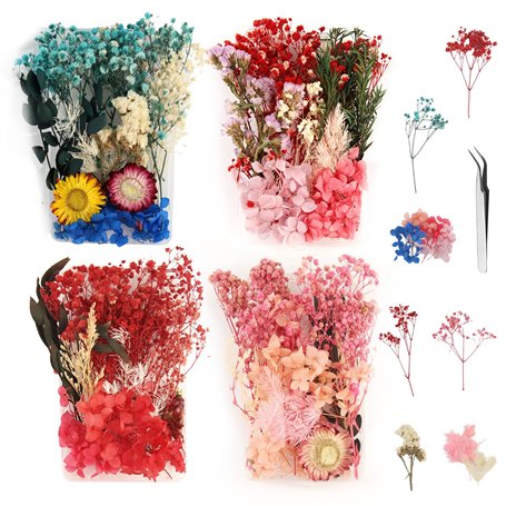 4 Boîtes Fleur Seche