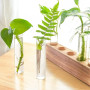 Vase en Verre De Tube À Essai Station De Propagation Vase en Verre Hydroponique avec Support en Bois pour Plantes Hydroponiques,