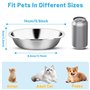 MOXYOY Lot de 3 gamelles en acier inoxydable pour chat - 14 cm - Assiette d'alimentation de rechange pour petit chat et chien