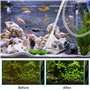 Kit de nettoyage d'aquarium 5 en 1 : accessoires d'aquarium, siphon de changement d'eau et 5 outils de nettoyage amovibles, kit