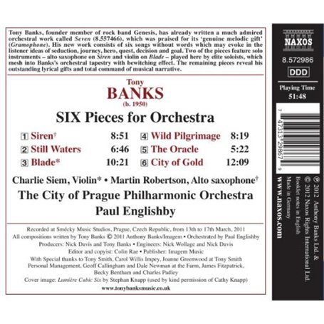 Lot de 240 Papillons Autocollants PET Imperméable Transparent Coloré Résine Décorative Nature Scrapbooking Planning Ordinateur P