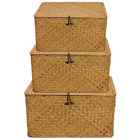 PINGEUI Lot de 3 paniers de rangement en jonc de mer avec couvercle et bouton