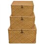 PINGEUI Lot de 3 paniers de rangement en jonc de mer avec couvercle et bouton