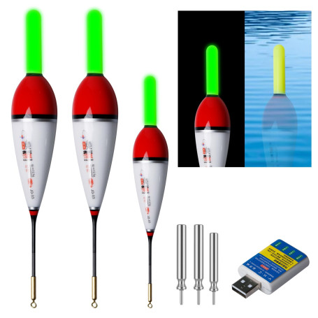 3 Pièces Flotteurs De Pêche À Led Avec Détecteur De Touche
