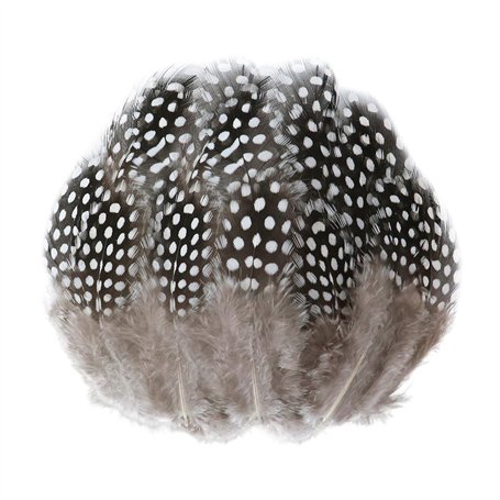 DHSBGWSX Lot de 100 plumes de perles