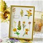 Lot de 320 autocollants floraux, autocollants pour plantes, autocollants rétro, autocollants de scrapbooking, autocollants pour