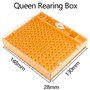Kit elevage commplet Reines avec système Nicot pour Apiculture Outils d'élevage Reine des Abeilles