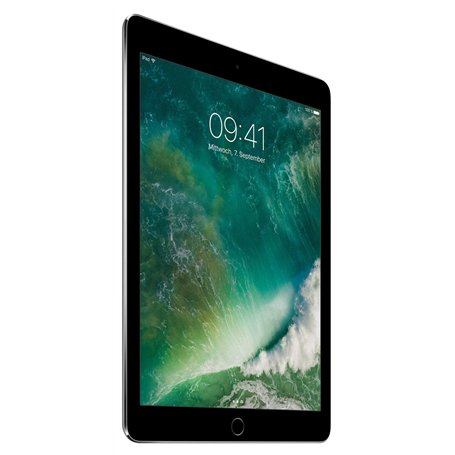 Apple iPad Air 2 16Go 4G - Gris Sidéral - Débloqué (Reconditionné)