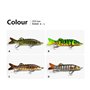 appâts de swimbait - Lent - Coulant Lentement - Eau Douce - Kit