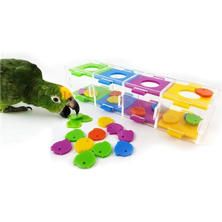 HEEPDD Jouet d'entraînement Bird Intelligence