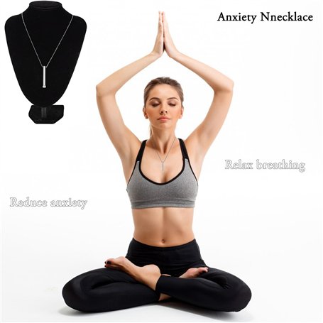 Assiette Inox avec Rebord en Silicon