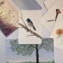 Cartes postales en papier aquarelle tumuarta 10.2 x 15.2 cm, papier coton, 63.5 kg/300 g/m², presse à froid, sans acide, 24 cart