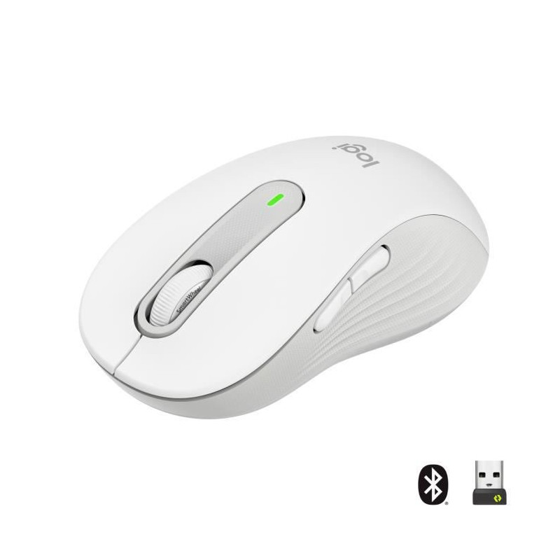 Logitech Signature M650 souris Droitier RF sans fil + Bluetooth Optique 2000 DPI