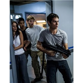 BECILES lunettes de vélo pour homme et femme