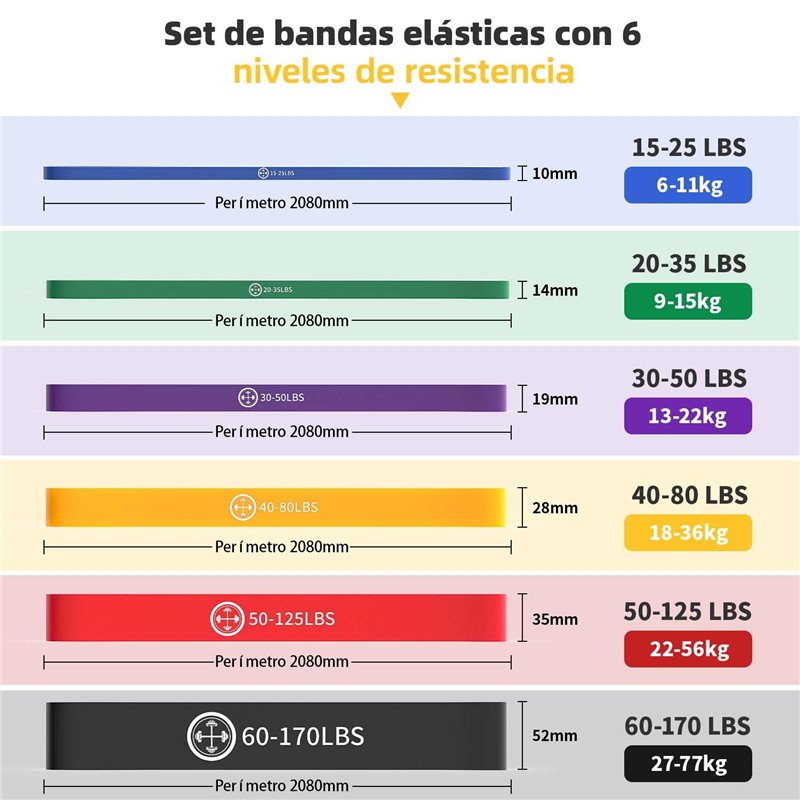 Sardines Camping Robuste