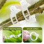 TTPSRY 203 Pièces Kit Attache Plante Jardin Clips Fixation Vigne Anneau Support Tuteur Légume Tomate Fleur Fruit