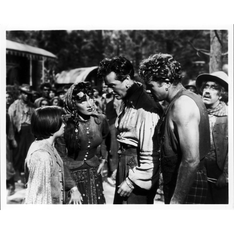 Lot de 35 élastiques en caoutchouc épais solides et durables pour poubelle à la maison, au bureau, à l'école - Noir