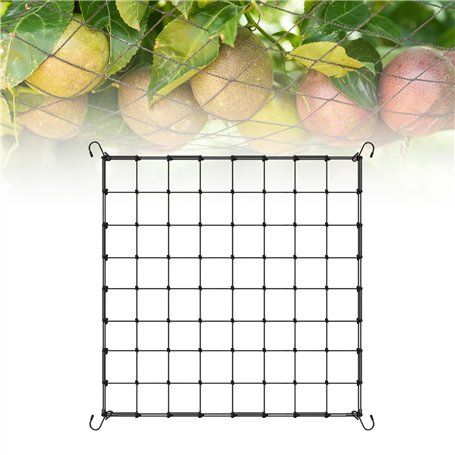 Dunkwckore Filet à Ramer