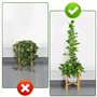 VFANDV Tuteur Plante, 120CM Support Plante Grimpante Tuteur Coco avec Twist 2 Meter pour Soutenir Les Plantes, pour Plante Jardi