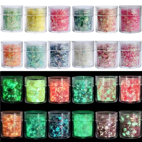 Wenrescry 12 Couleurs Paillettes Fluorescentes – Poudres Chunky et Fines – Visage