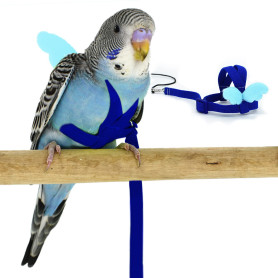 Budgerigar Harnais et Laisse pour Perroquet, Design d'entraînement réglable Anti-Morsure, Corde en Nylon avec Aile Mignonne pour Budgerigar Harnais et Laisse pour Perroquet