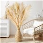 Lot de 10 Pampa XXL – Grandes Pampas séchées Decoration en Fleurs séchées pour Style bohème