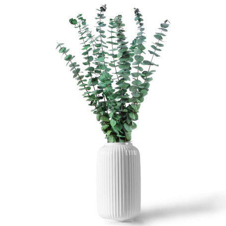 12 Pièces 45cm Eucalyptus Seches Naturel d'Eucalyptus Fleurs Séchées pour Mariage Arrangement Floral Home Deco