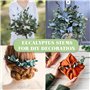 12 Pièces 45cm Eucalyptus Seches Naturel d'Eucalyptus Fleurs Séchées pour Mariage Arrangement Floral Home Deco
