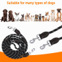 Laisse Chien, Laisse pour Chien de Grande et Moyenne Taille, Laisse pour Chien, Laisse à Double Extrémité pour Chien 3M, Laisse