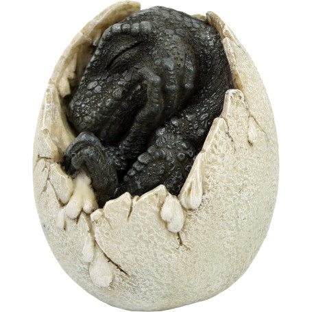 Nemesis Now Wyrmlings Figurine First Light Résine Ivoire 12 cm Taille Unique