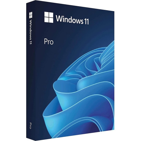 Microsoft Windows 11 Pro